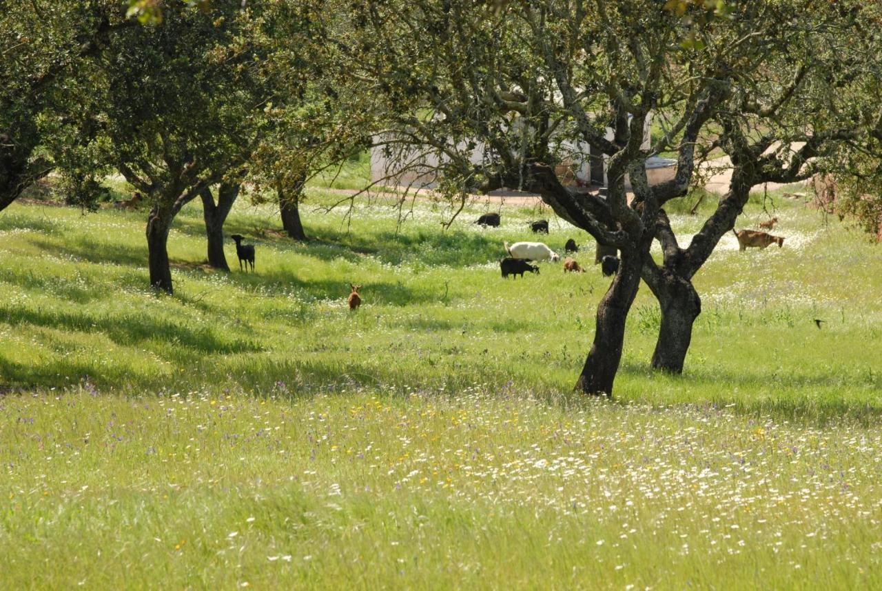 Casa Da Aldeia II Βίλα Alcaria Ruiva Εξωτερικό φωτογραφία